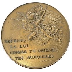 Médaille - Droits de l'homme et du citoyen - Graveur Corbin Raymond - bronze 89mm - 1979 - SUP 2