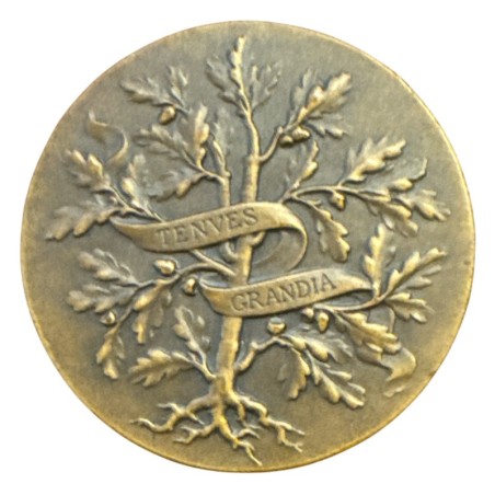 Médaille - Union centrale des arts décoratifs - Comité des dames - bronze - 35mm - TTB+