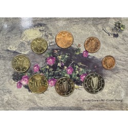 Coffret BU Irlande - 2007 2