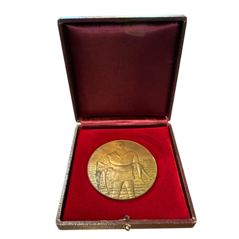 Médaille - Société nationale de sauvetage en mer - bronze - 72mm - attribuée au revers