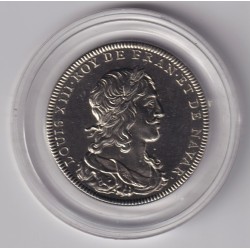 Médaille - Louis XIII - Roi de France - cupronickel