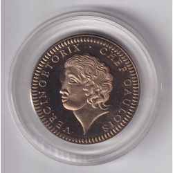 Médaille - Vercingetorix - Roi de France - cupronickel