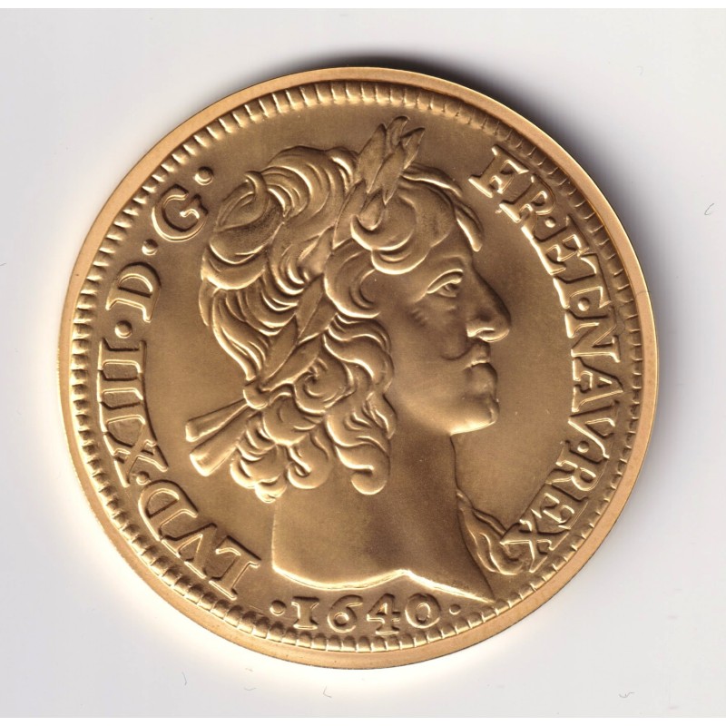 100 Francs Or - 2000 - Louis d'or Louis XIII - Or 17g 0,920 - Belle épreuve