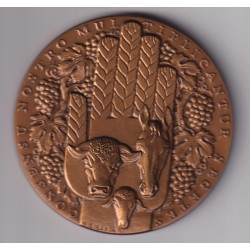 Médaille - Crédit agricole mutuel - Charente-maritime - bronze - 81mm 2
