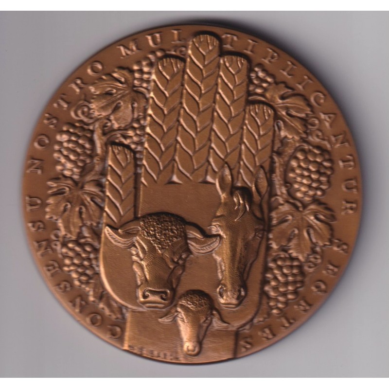Médaille - Crédit agricole mutuel - Charente-maritime - bronze - 81mm