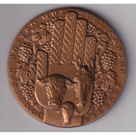 Médaille - Crédit agricole mutuel - Charente-maritime - bronze - 81mm