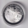 Médaille - Norvège 1 krig 1940-1945 - N°5 Med kurs for storbritannia - argent 20g 0,999 - 39mm - FDC