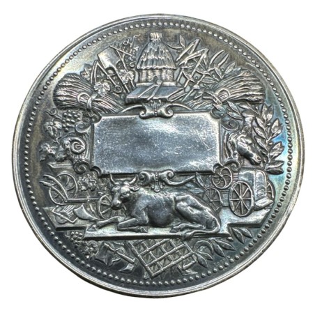 Médaille - Société des agriculteurs de France - argent 81,61g - 55mm - TTB