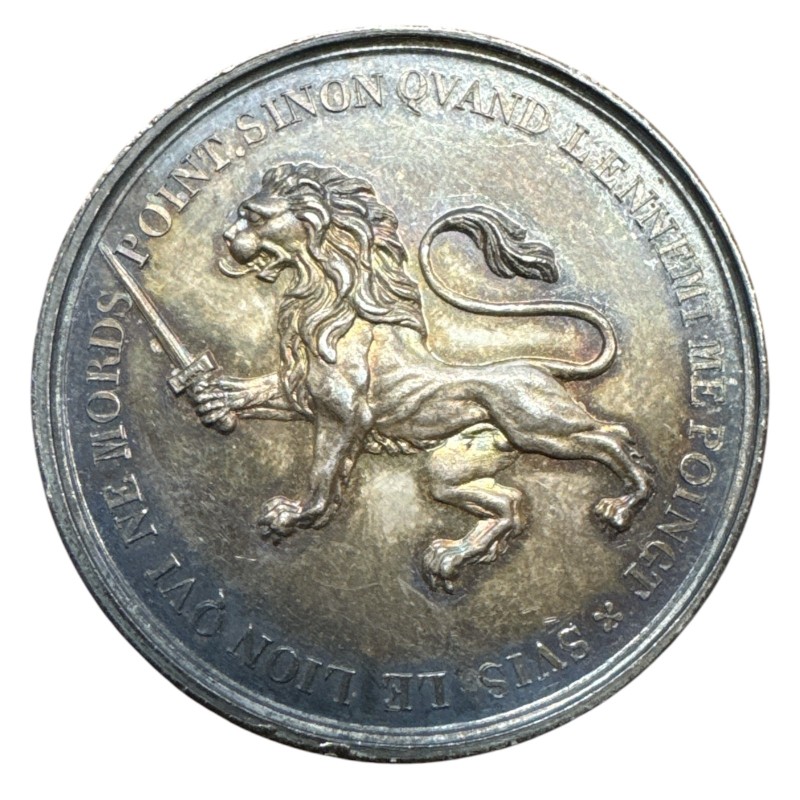 Jeton - Conseil municipal - Ville de Lyon - argent 25g - TTB+