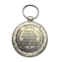 Médaille du Tonkin - 1883-1885 - Type Terre - bélière olive - ordonnance 2