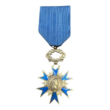Ordre National du mérite - Chevalier - en argent 