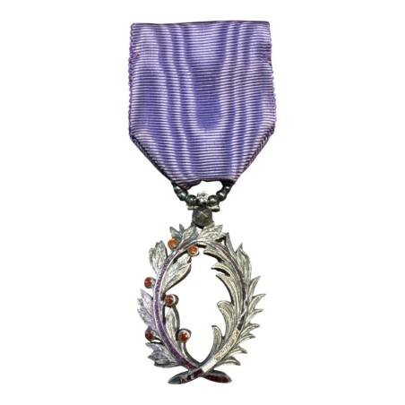 Palme Académique - Chevalier - version luxe avec brillant - ordonnance