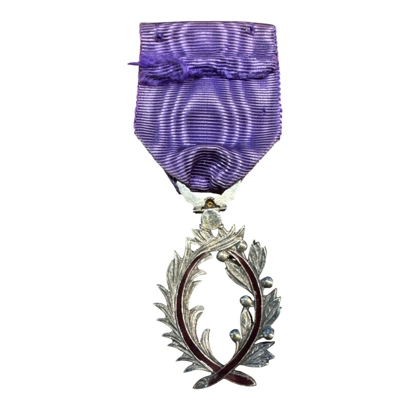 Palme Académique - Chevalier - version luxe avec brillant - ordonnance