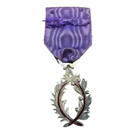 Palme Académique - Chevalier - version luxe avec brillant - ordonnance