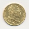 Louis XVIII - 20 Francs Or - 1817 A Paris - Buste nu
