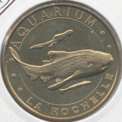 Dept17 - Aquarium La Rochelle N°8 - le requin zèbre - 2013