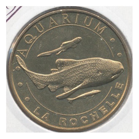 Dept17 - Aquarium La Rochelle N°8 - le requin zèbre - 2013