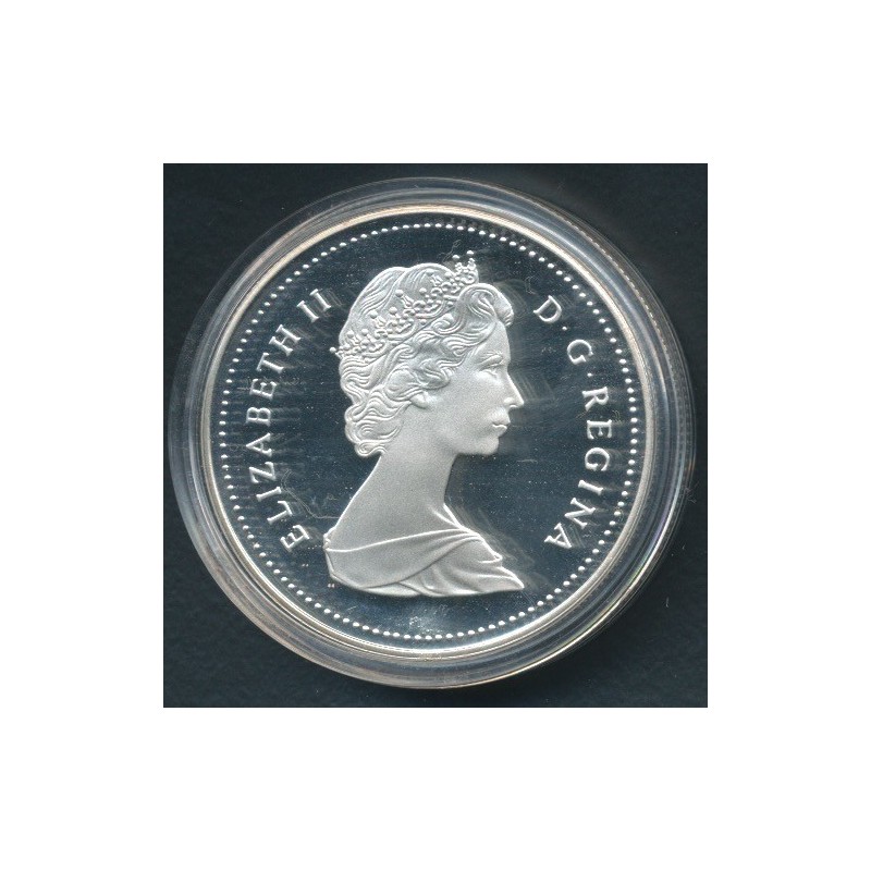 Dollar 1989 Rivière Mc Kenzie