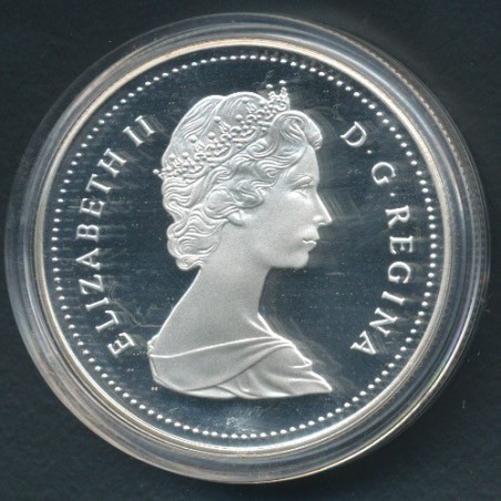 Dollar 1989 Rivière Mc Kenzie