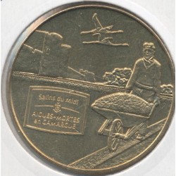 Dept30 - Aigues mortes les salines N°5 - salins du midi - 2013