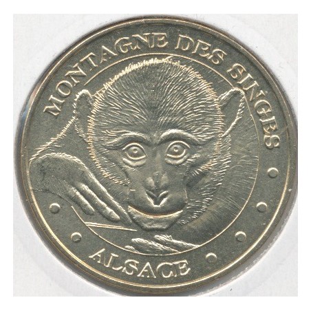 Dept67 - la montagne des singes N°7 - 2011 - bébé singe - Kintzheim